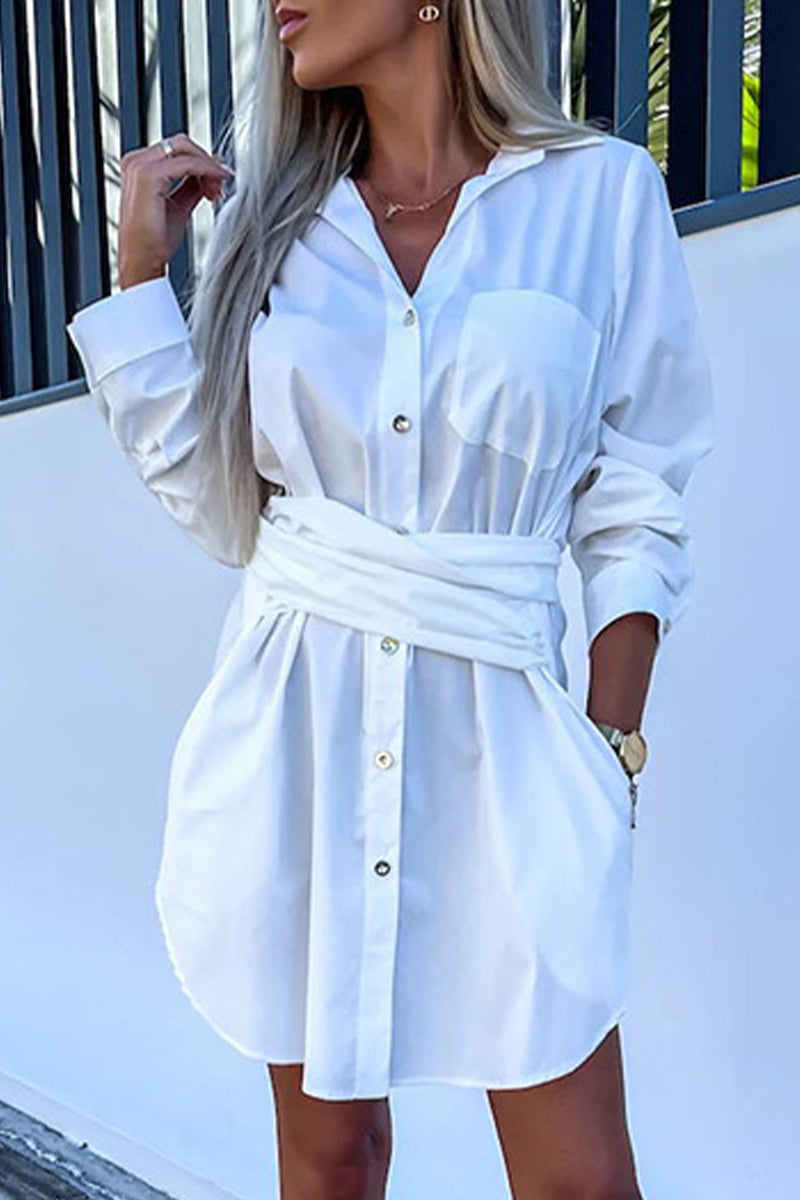 Casual Simplicity Solid Pocket Shirt Collar Shirt Dress Dresses