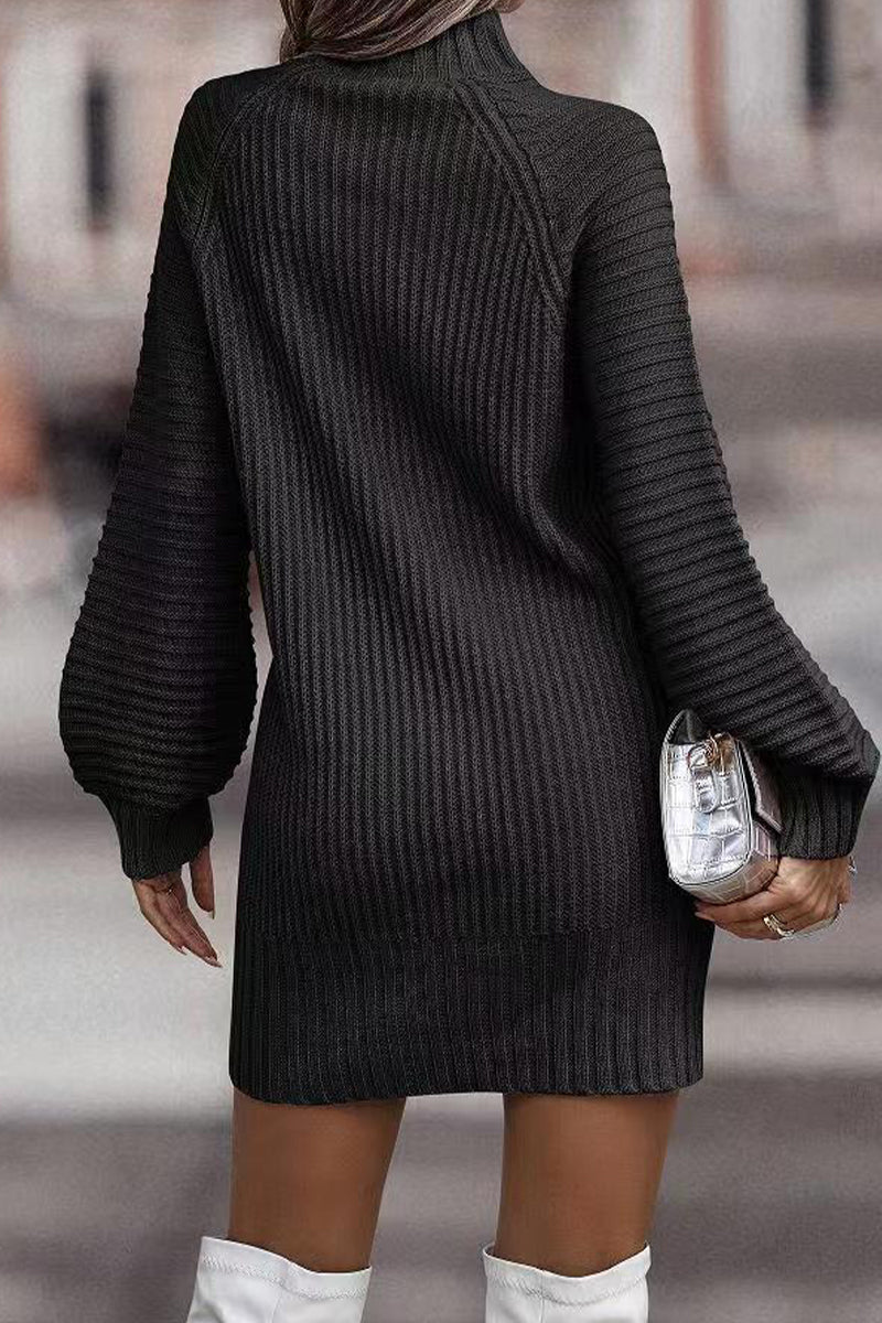 Casual Solid Patchwork Turtleneck One Step Skirt Dresses