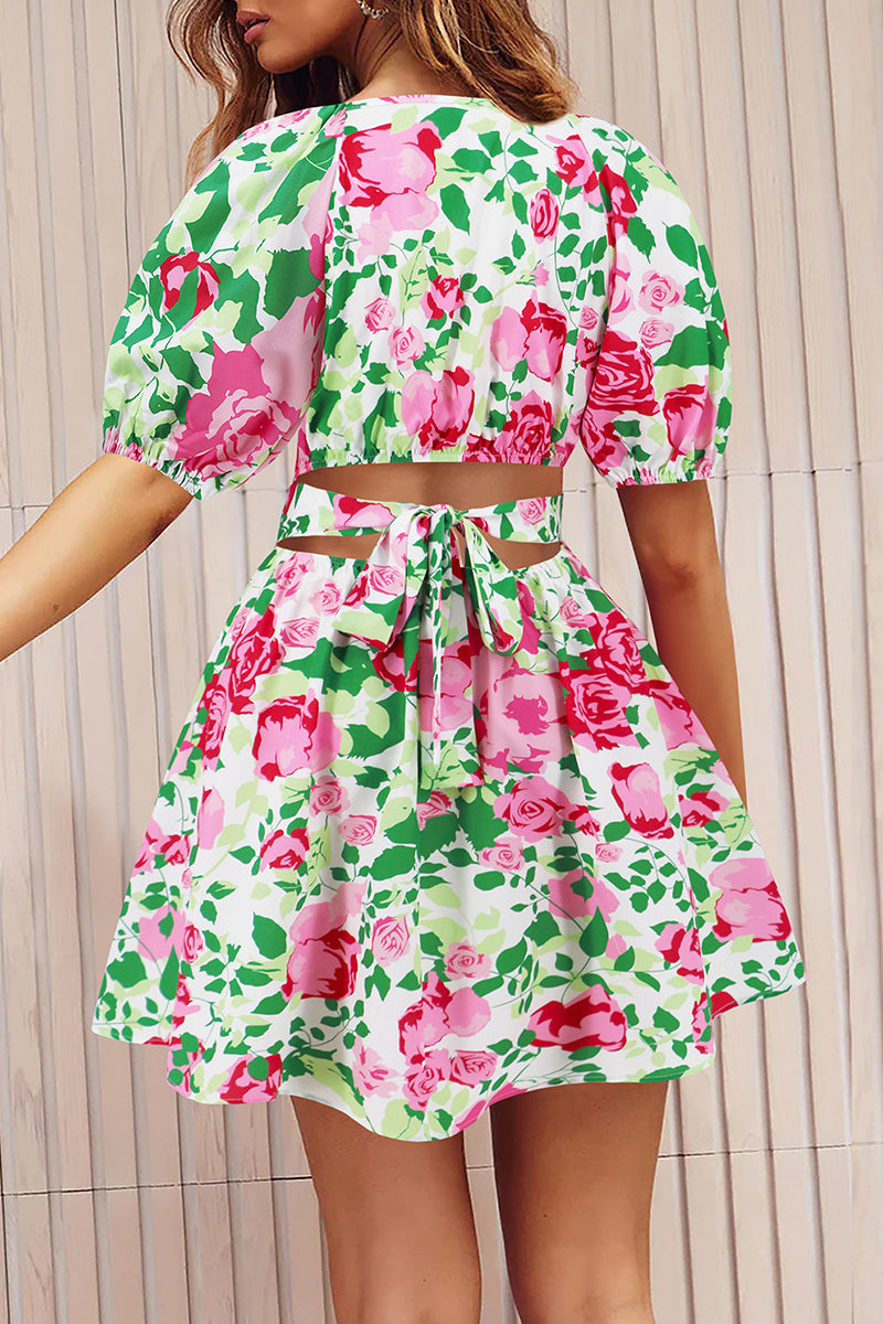 Sexy Vacation Floral Frenulum Contrast V Neck A Line Dresses