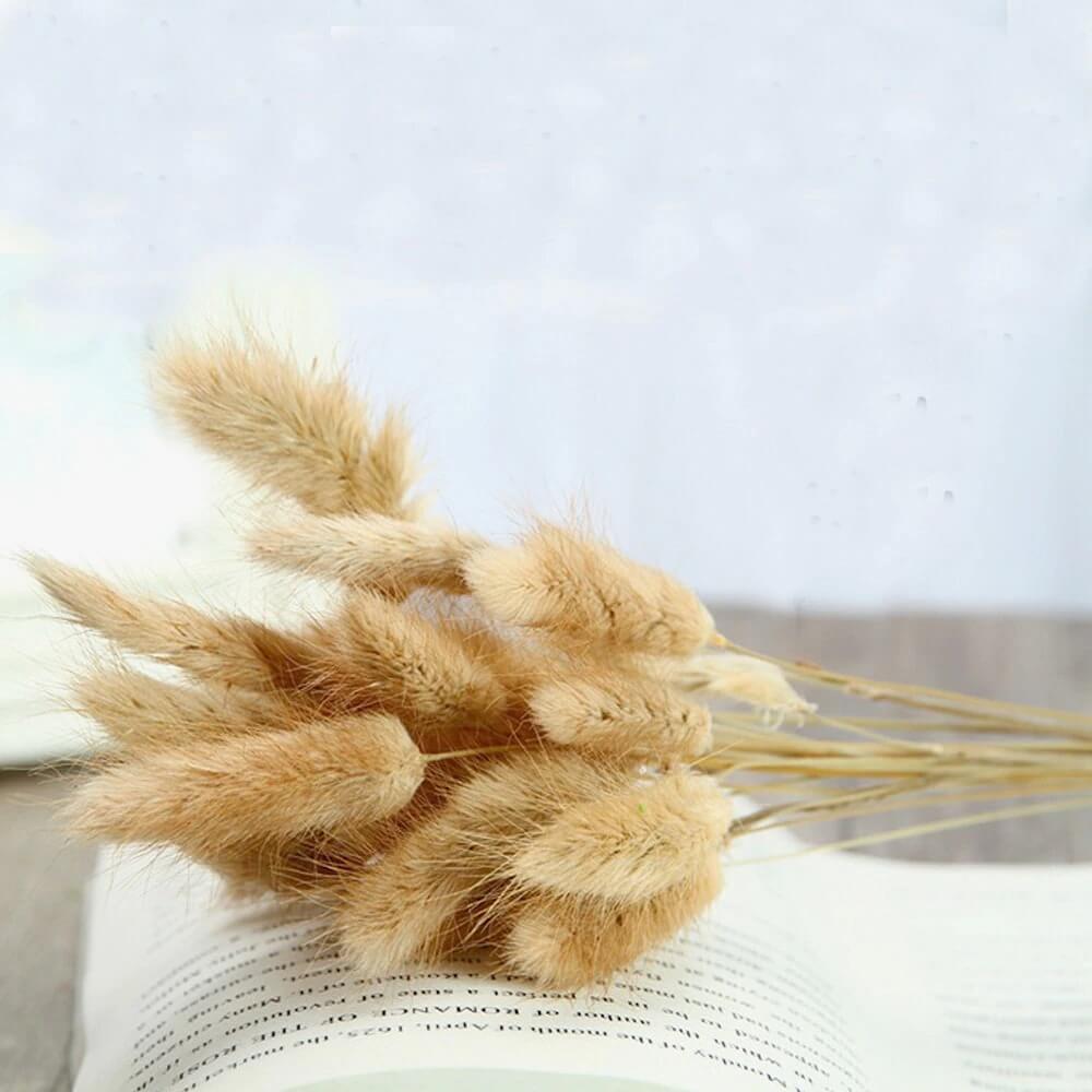 Natural Bunny Tails