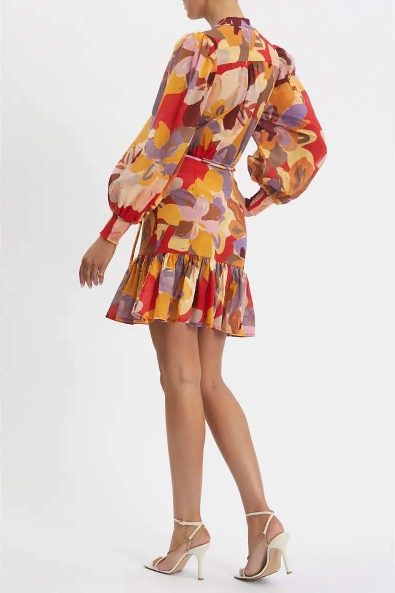 Riva Printed Long-sleeve Mini Dress