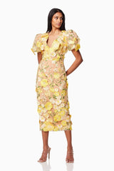 Sally V-neck Floral Midi Dress