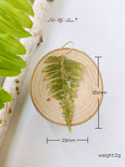 Natural Forest Fern Resin Leaf Botanical Pressed Flower Earrings