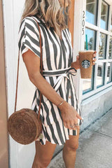 Chicindress V-neck Button Striped Dress ( 2 Color)