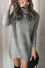 Chicindress Casual Turtleneck Mini Dress(2 Colors)