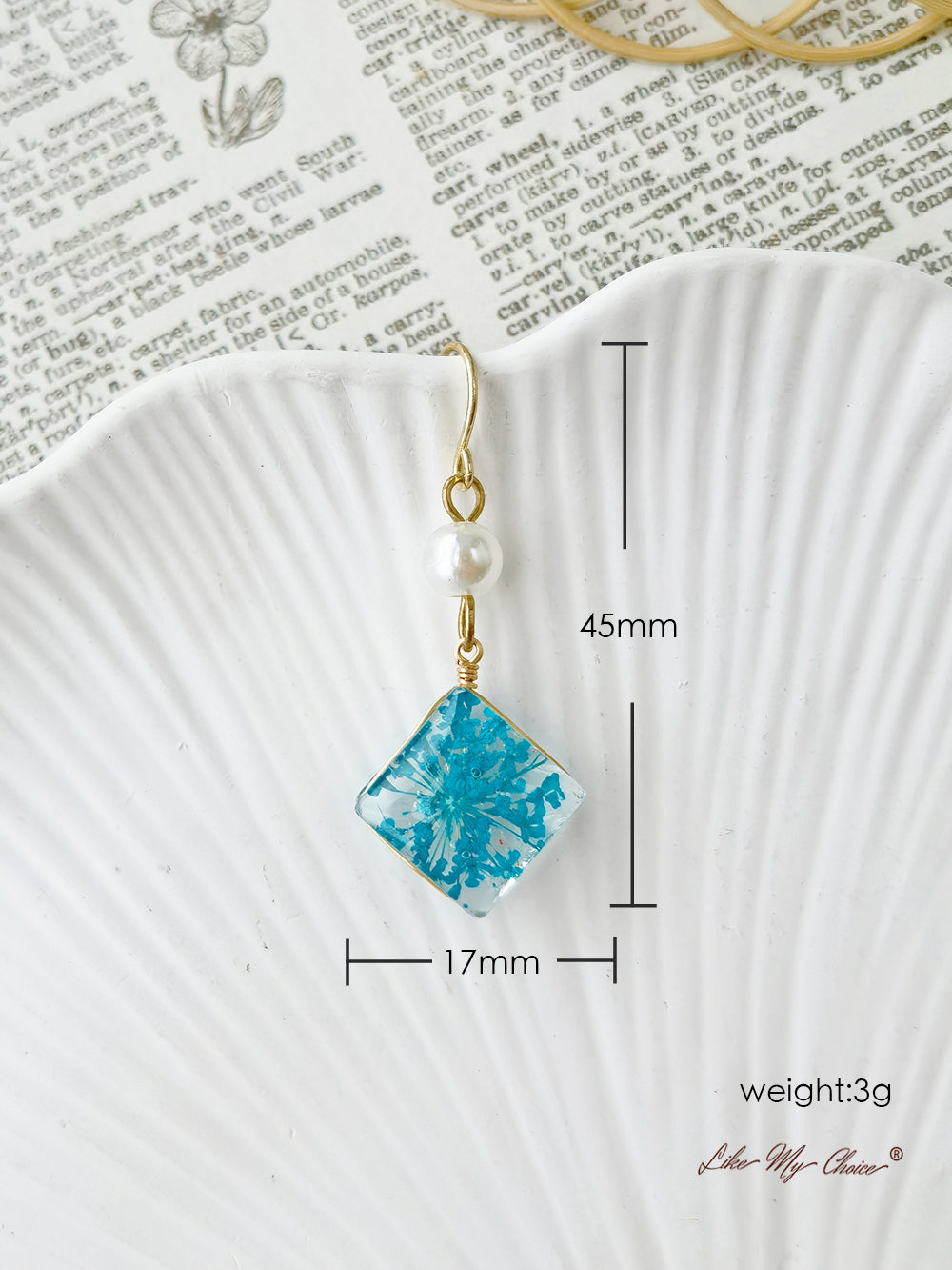 Handmade Resin Queen Anne Dried Flower Earrings