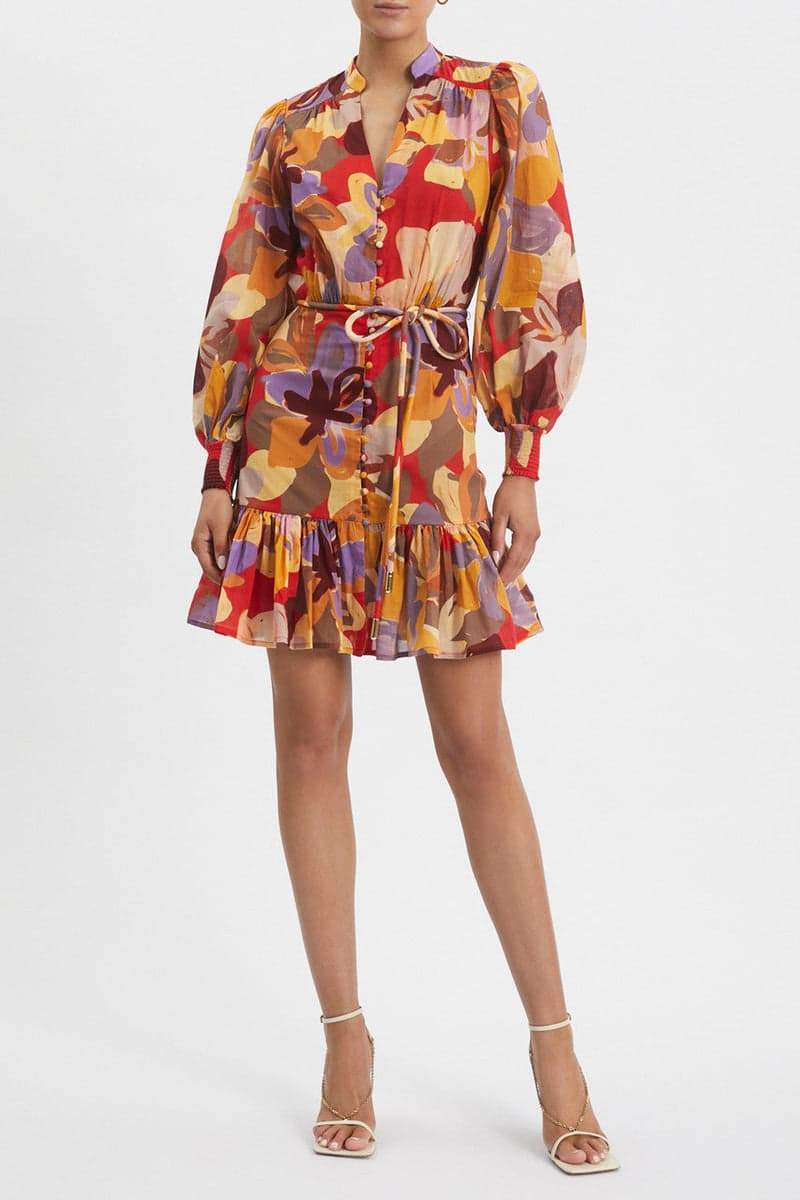 Riva Printed Long-sleeve Mini Dress