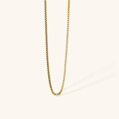 Astra Box Chain Necklace