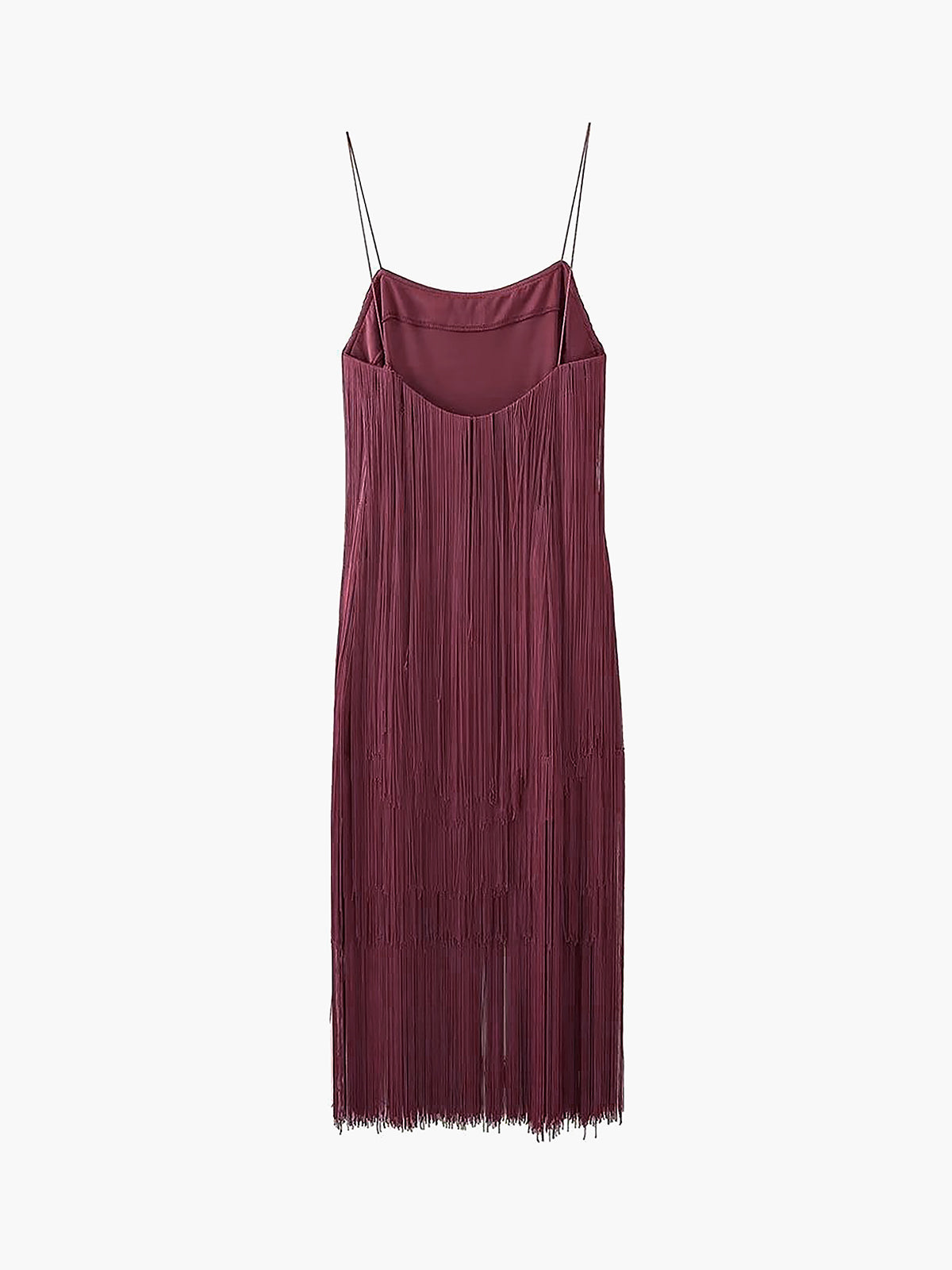 Whispering Elegance Fringe Dress