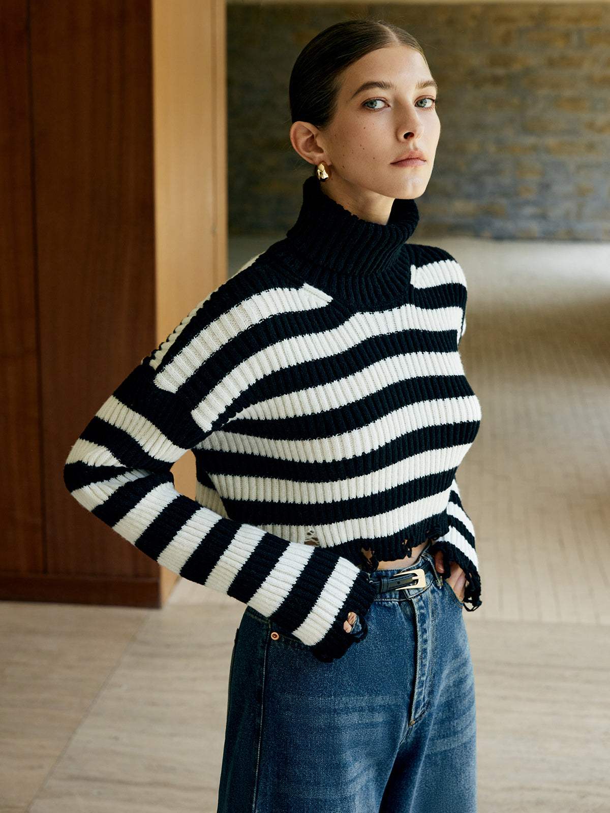 Turtleneck Striped Pullover Sweater