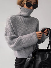 Turtleneck Ribbed Warm Sweater