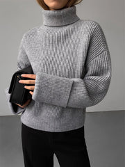 Turtleneck Ribbed Warm Sweater