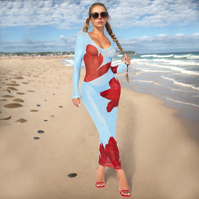 Floral Print Mesh Long Dress Summer Women See Through Long Sleeve Pullover Dresses Beach Sexy Skinny Sundress 2024 Women