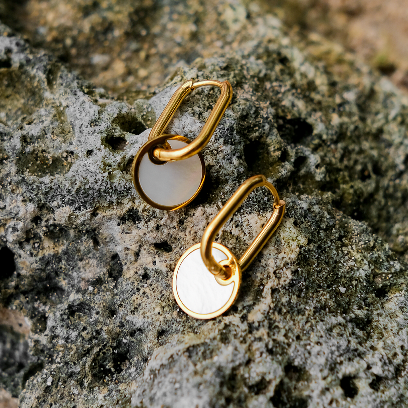 Celeste Shell Drop Earrings