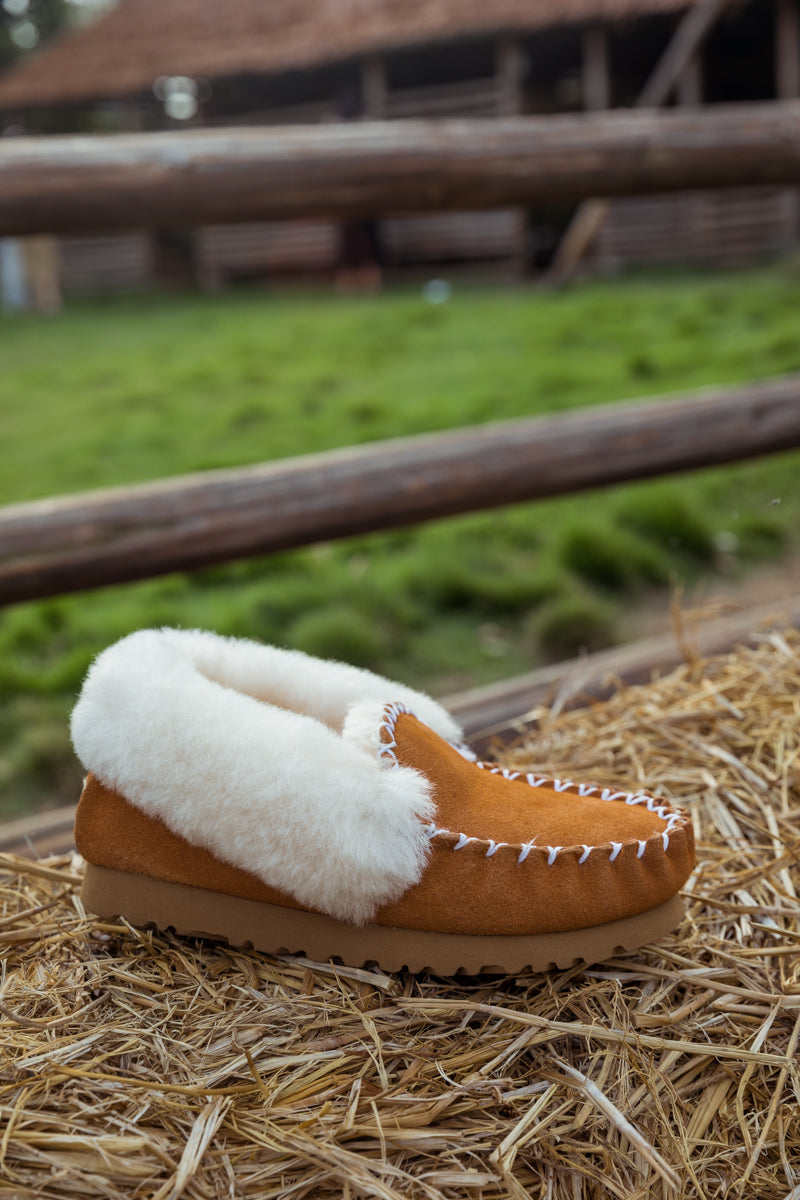 SMAIBULUN Ugg | WOOL LINED SUEDE TASMAN SLIPPER MOCCASIN - CHESTNUT