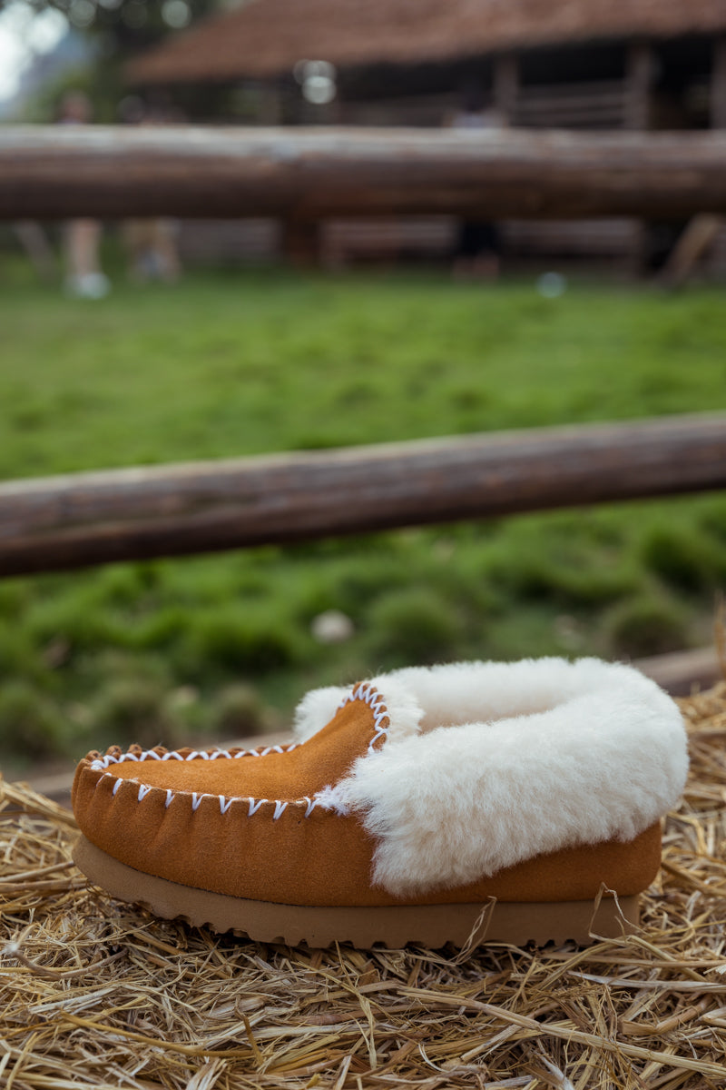 SMAIBULUN Ugg | WOOL LINED SUEDE TASMAN SLIPPER MOCCASIN - CHESTNUT