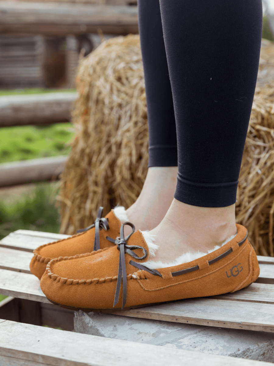 SMAIBULUN Ugg | WOOL LINED SUEDE MOCCASIN - CHESTNUT