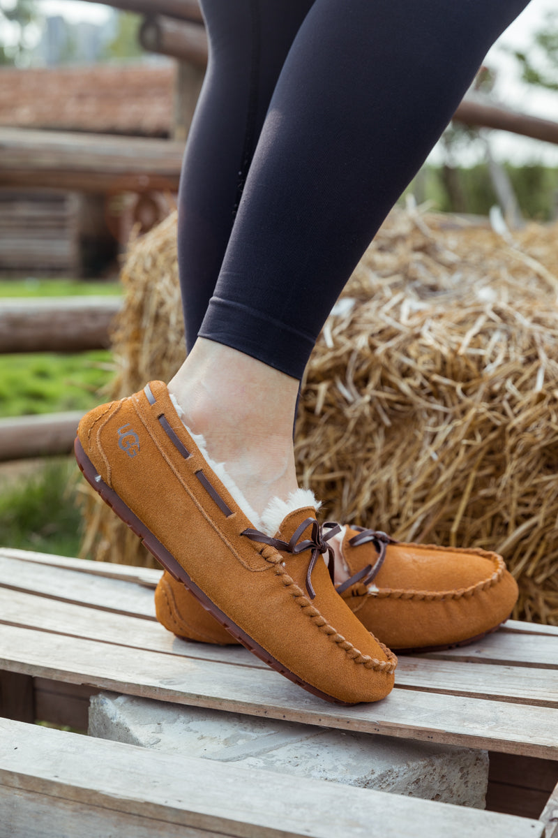 SMAIBULUN Ugg | WOOL LINED SUEDE MOCCASIN - CHESTNUT