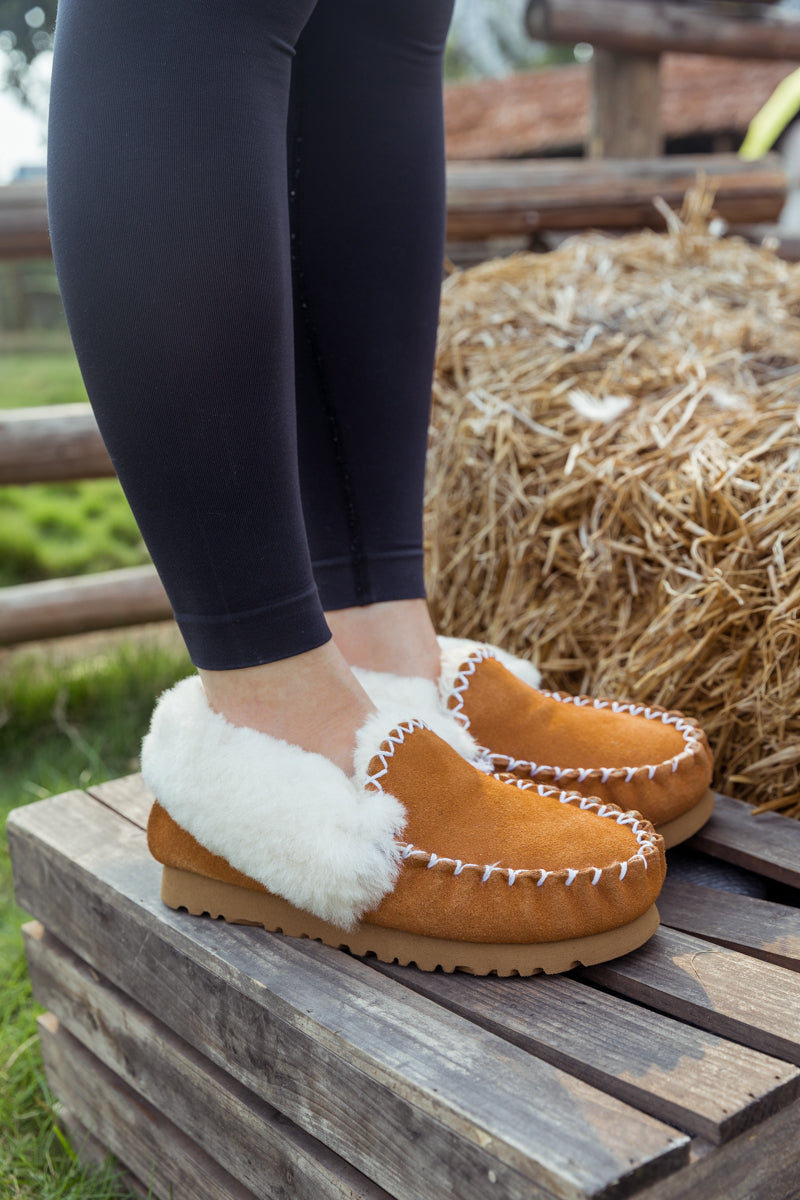 SMAIBULUN Ugg | WOOL LINED SUEDE TASMAN SLIPPER MOCCASIN - CHESTNUT