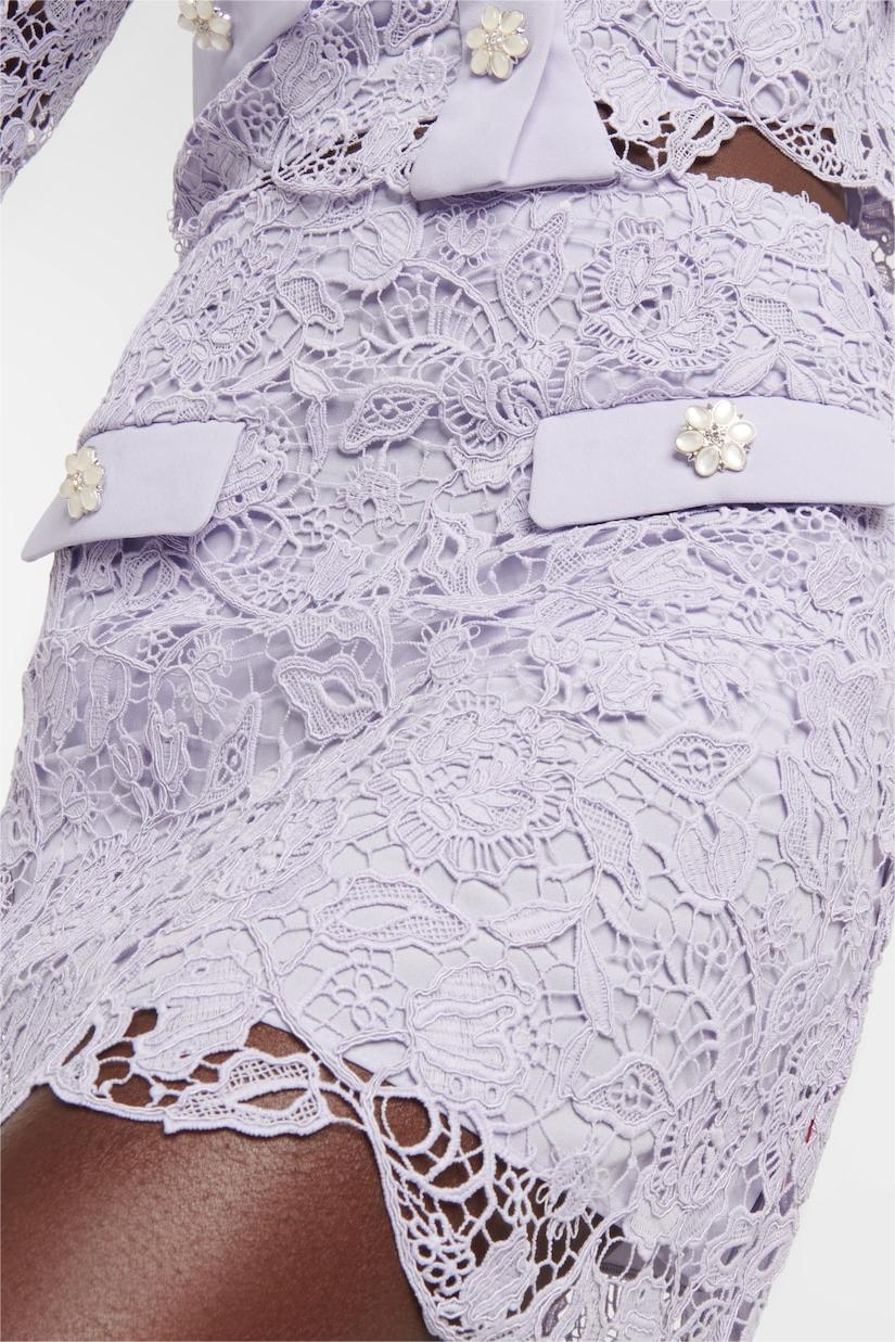 Lace Solid Long Sleeve Top & Mid Waist Mini Skirt Set