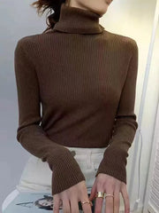 New 2024 Women Pullover Turtleneck Sweater Autumn Long Sleeve Slim Elastic Korean Simple Basic Cheap Jumper Solid Color Top