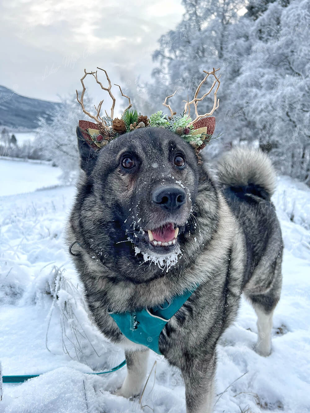 Faun Deer Antler Christams Reindeer Headband | LikeMyChoice