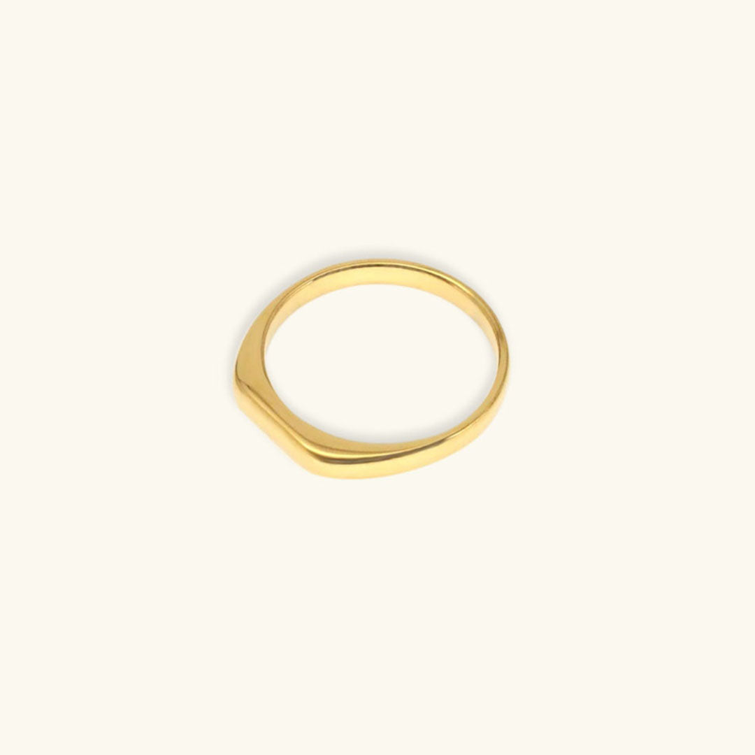 Sasha Minimalist Gold Ring