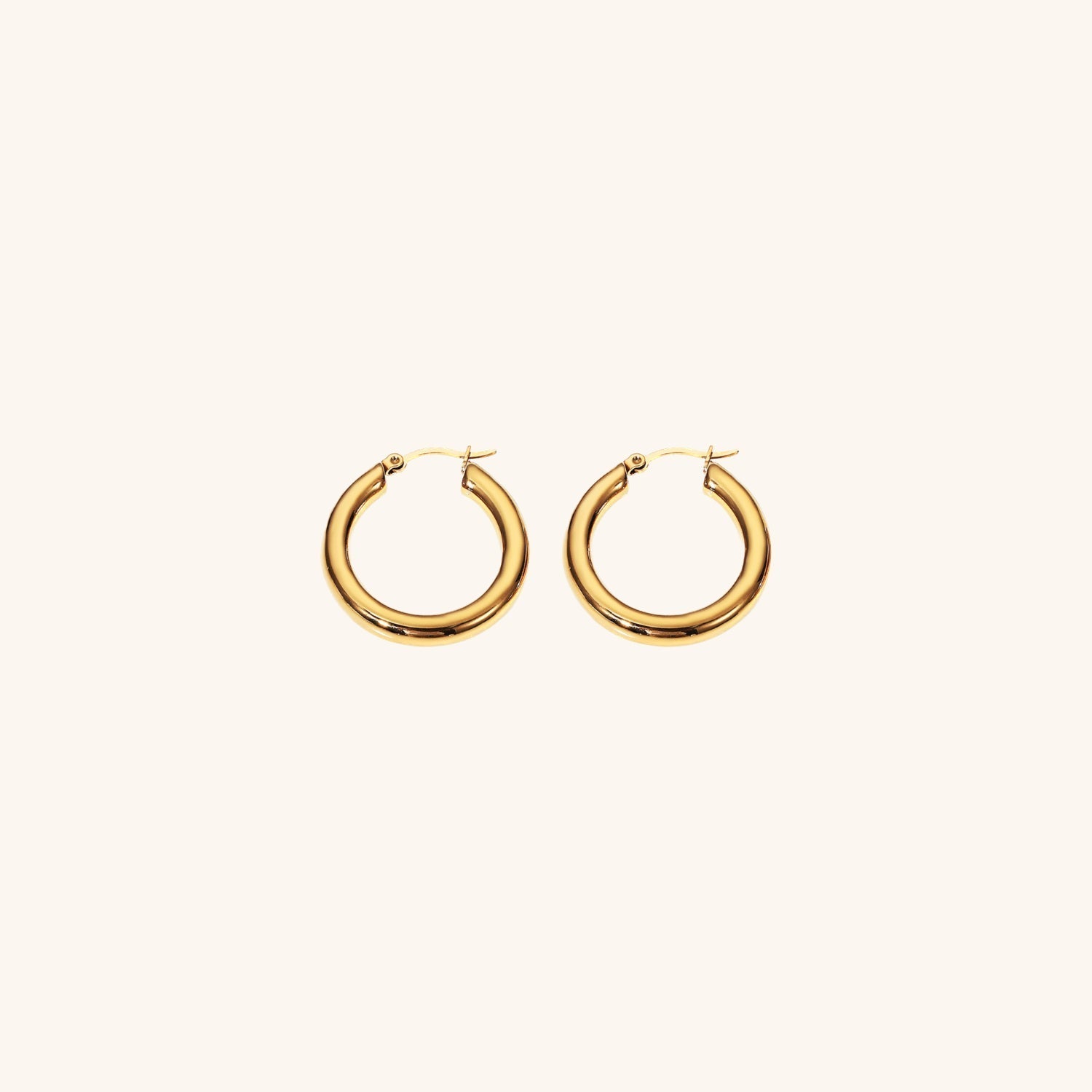 Sophia Classic Hoop Earrings Set