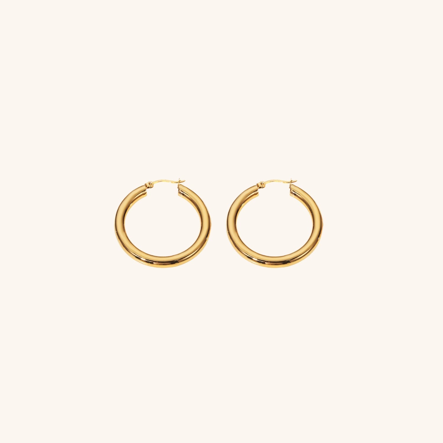 Sophia Classic Hoop Earrings Set