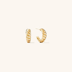 Twisted Elegance Hoop Earrings