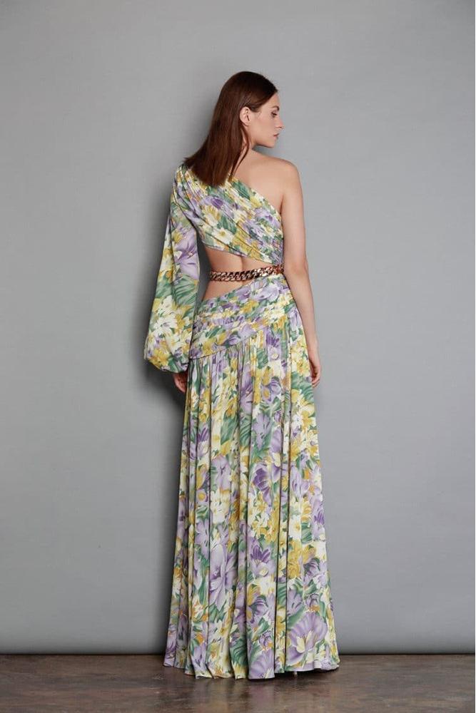 Gertrude Printed Cut-out Asymmetry Maxi Dress