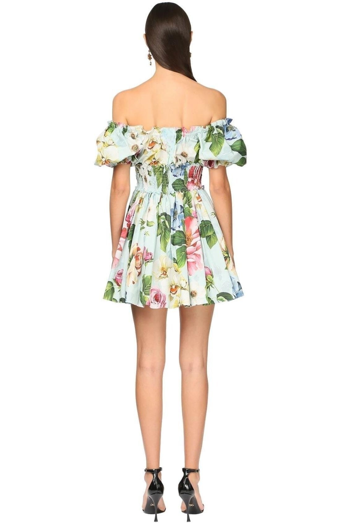 Ivy Printed Shirred Bodice Flare Mini Dress