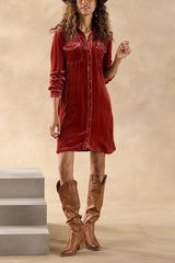 Rocio Velvet Dress