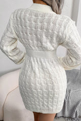 Cozy Winter Fisherman Cable Knit Bodycon Sweater Mini Dress - White