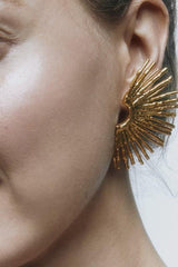 Metallic Sector Semicircular Earrings