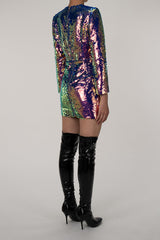 Sparkly Sequin Round Neck Long Sleeve Ruched Bodycon Party Mini Dress