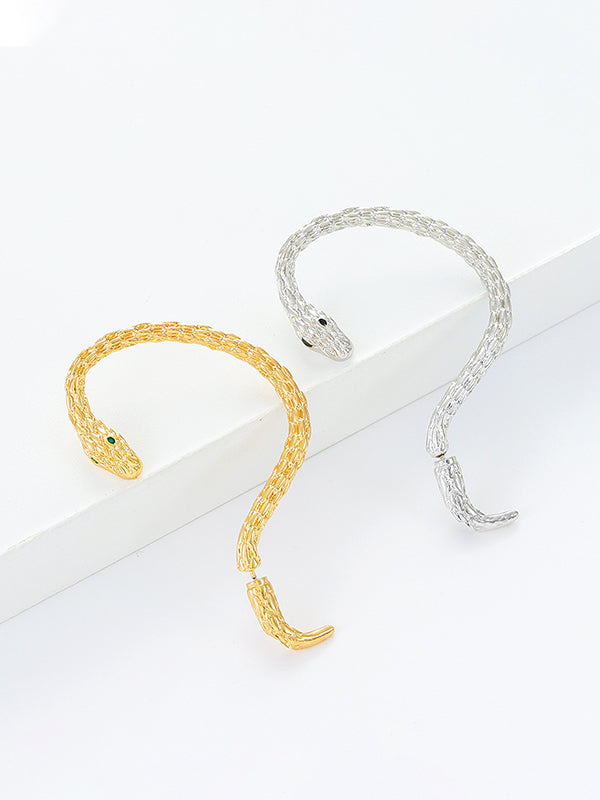 Snake Shape Earhook Earrings