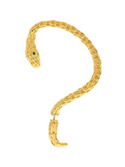 Snake Shape Earrings Accessories